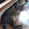 新型コロナ後のリハビリ