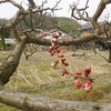 訪、牡鹿半島‥