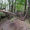 単独登山（鍋割山・塔の岳）＆お願い