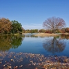 昭和記念公園で紅葉狩り&サイクリング