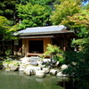 京都の旧橋本関雪邸で火災、２茶室全焼…不審火の疑いも