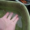 初氷が張る
