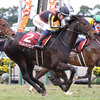 競馬初心者必見☆馬券予想🔥〜日経新春杯〜菊花賞組から予想の組み立てを