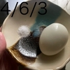 食事記録　ダイエット21〜30日目