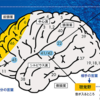 40代で英語を習得するのは遅すぎるか やり方次第では上達する