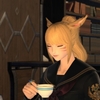 初見『FF14』その８：女子高生ネコ異世界転移！？エオルゼア各地でお茶を飲む