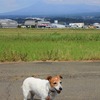 今日の富士山