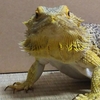 少し穏やか