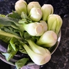 葉野菜の管理