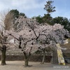 若泉公園