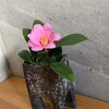 陶芸家の星見晴雄さんより頂いた花入れです！