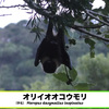 断じて中国に渡してならない