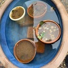 【睡蓮の植え替え】