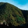 【登山】登り納めの奥多摩・御前山