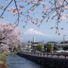 日曜日の富士山と桜とまたまた富士山餃子。