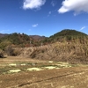 里山ハイク：砥石・米山城跡（上田市）