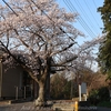 中峰公民館の桜と地区の神社・・