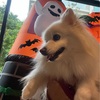 【ペット】のんびり三連休