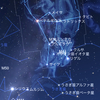 ふたご座流星群 流れ星☆彡見えた！(^^)