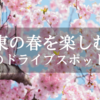 【関東の春を楽しむ！人気のドライブスポット21選｜気分があがる おすすめのドライブソングも！】