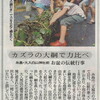 西日本新聞、2018/08/16