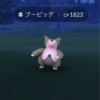 最近ゲットしたポケモン  ブーピッグなど