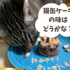 猫缶ケーキで10才の誕生日【お祝いプレート】材料4つで作ってみた！