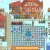 Stardew Valley 記録 2年目冬23～28日目 『冬の終わりにHappyBirthDay』