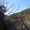 上勝町に遊びに行ってきました　月ケ谷温泉の遊歩道で、揺れる吊り橋を平気で渡る高齢の母には驚いた