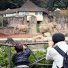 多摩動物公園