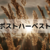 【農薬】ポストハーベスト問題