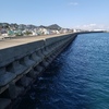 長崎県生月沖波止～波止イシダイ