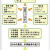 不眠症の本質は昼に有り