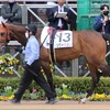 【一口馬主／ソワドリヨン】次戦は…？