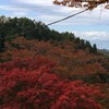 秋です！紅葉を見に行こう🍁