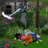 Life&Death（47）