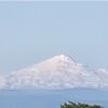 リタイアして実家で暮らすぞ計画