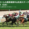 【 ハルの競馬予想 3/14.2020 】