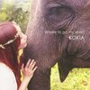  Where to go my love / KOKIA