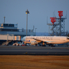 大空の下で飛行機を撮影したぃ！　夕方にスターアライアンス機を撮影