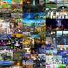 【2025年】なんでもできるゲーム【自由度の高いオープンワールド ソシャゲ アプリ】