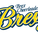 brex-cheer-brexy’s diary