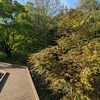 ４．１６（火・晴れ）恥っ晒しのアメリカ人。