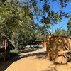 【エズルウィニ→ムリルワネ国立公園】ウォーキングサファリ