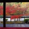 【奈良県 2024年版】秋の絶景・風物詩10選