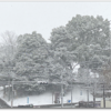 雪が降ってます