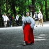 大神神社写真館(１/２)