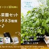 おてがる菜園セット当選【タキイのキャンペーン】