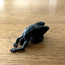 イマワカ日記