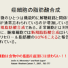 講座：なぜがんは発生し、成長し、そして増殖するのか？〜第8回〜